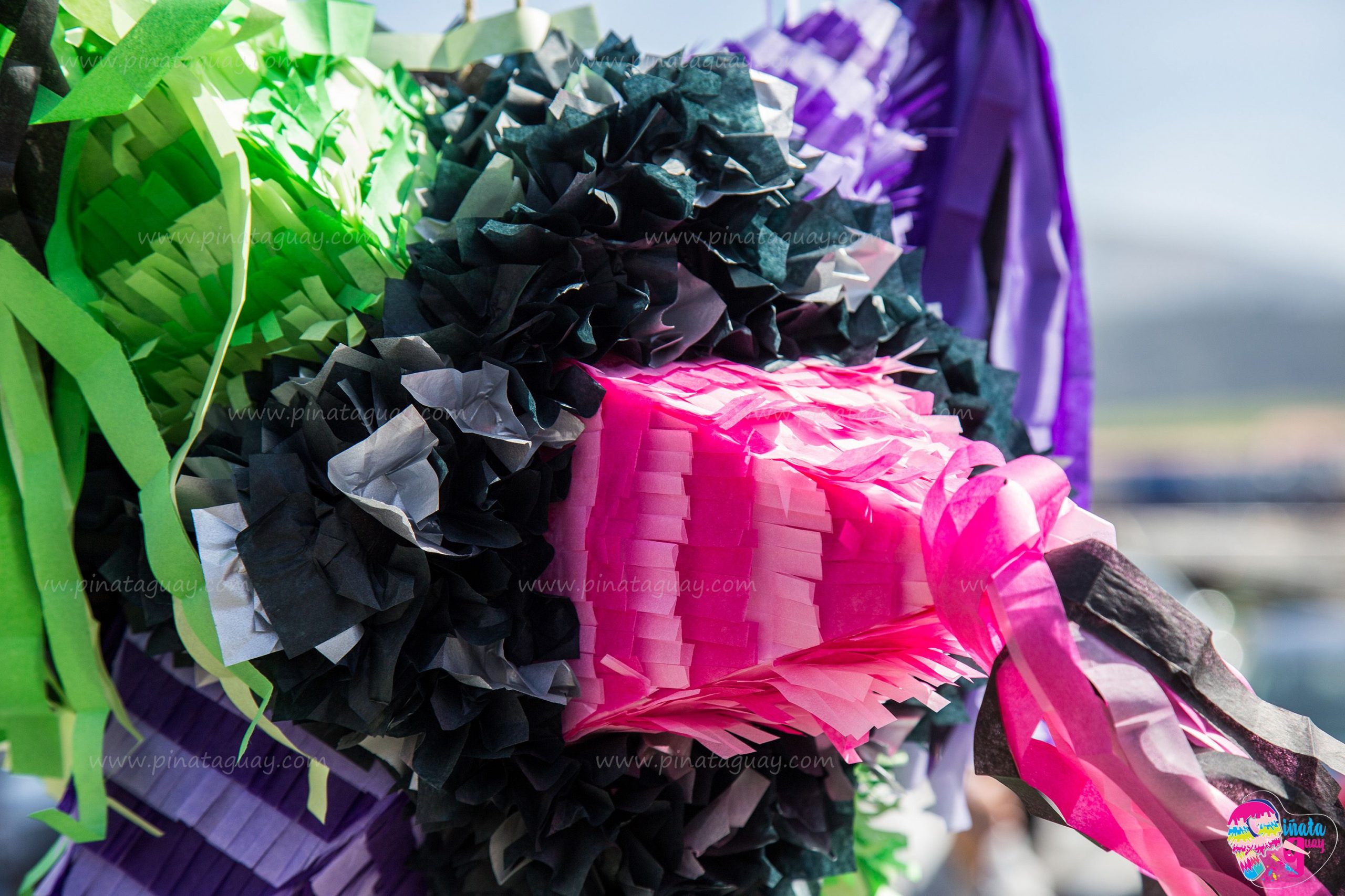 Mexicana geometrica 6